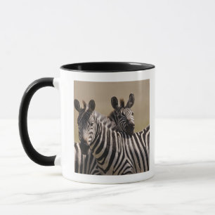 Taza Reserva nacional de Mara del Masai, Kenia, julio