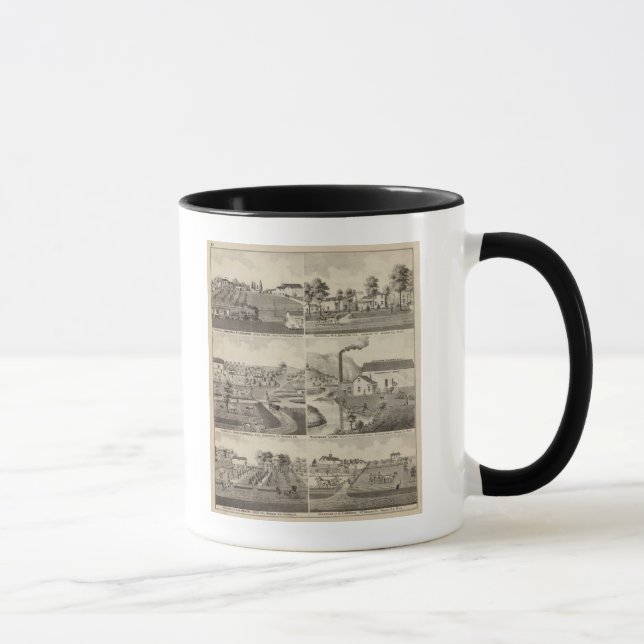 Taza Residencias de Minnesota (Derecha)