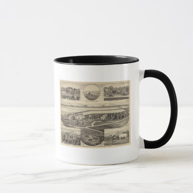 Taza Residencias Johnson y Maxell, Kansas (Derecha)