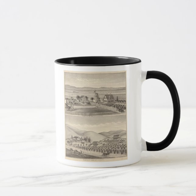 Taza Residencias Wrede, Nebas (Derecha)