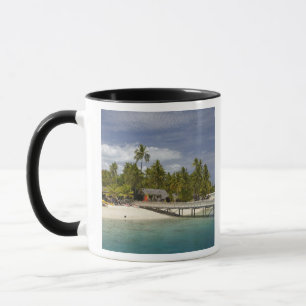 Taza Resort Plantation Island, isla Malolo Lailai