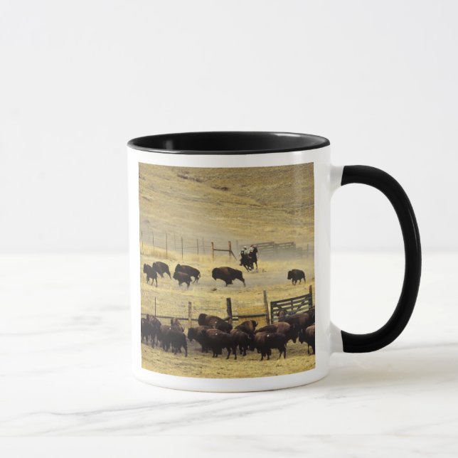 Taza Resumen nacional de la cordillera de Bison en Mont (Derecha)