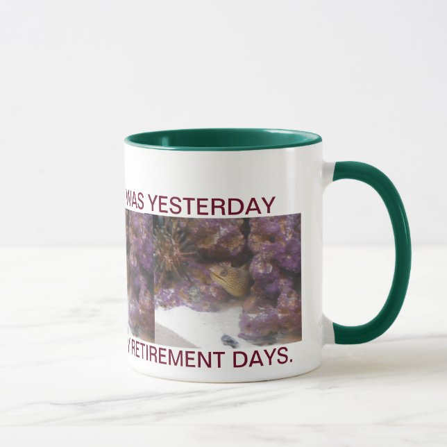 TAZA RETIRO FÁCIL EN LA FLORIDA (Derecha)