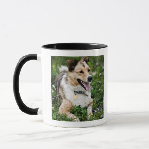 Taza Retrato al aire libre del perro que se acuesta en