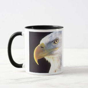 Taza Retrato de águila calva, Haliaeetus leucocephalus,
