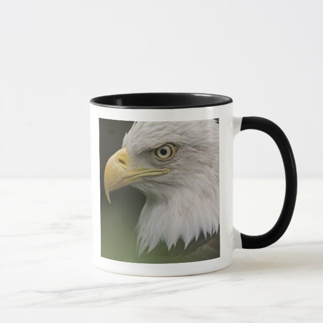 Taza Retrato de águila calva para adultos, Haliaetus (Derecha)