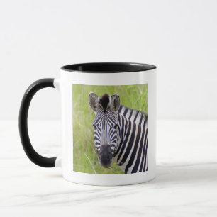 Taza Retrato de cebra de llanura, Hluhluwe-Umfolozi Gam