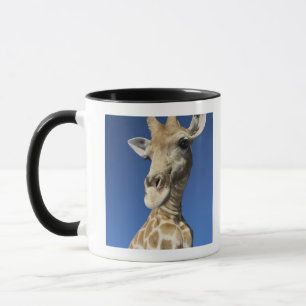 Taza Retrato de la jirafa (Giraffa Camelopardalis) 2