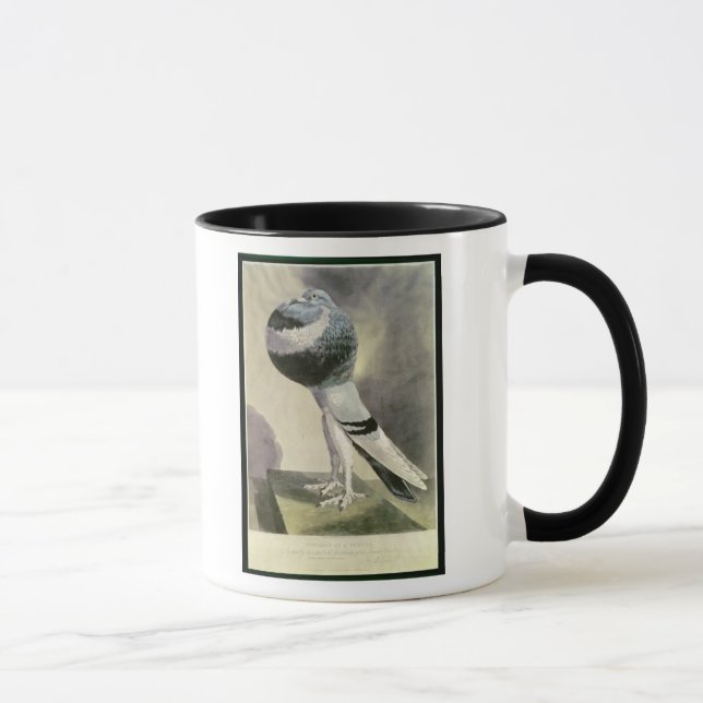 Taza Retrato de la paloma del Pouter (Derecha)