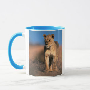 Taza Retrato De Leona (Panthera Leo)