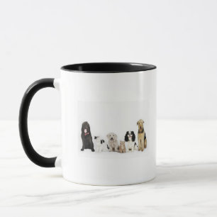 Taza Retrato de los gatos y de los perros que se