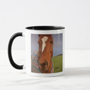 Taza Retrato de un caballo con un arco iris en el cielo