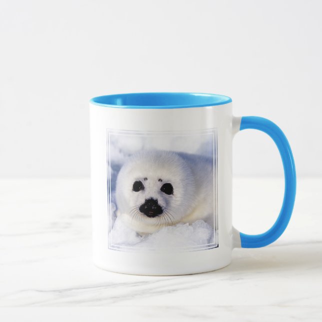 Taza Retrato de una cría de foca arpón (Derecha)