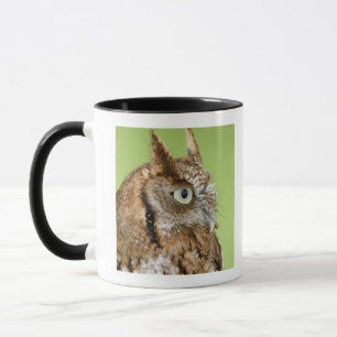 Taza Retrato del búho de chillido