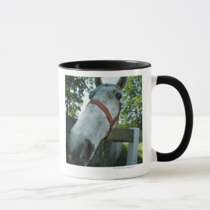 Taza Retrato del caballo