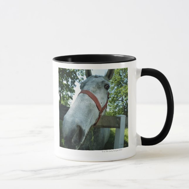 Taza Retrato del caballo (Derecha)