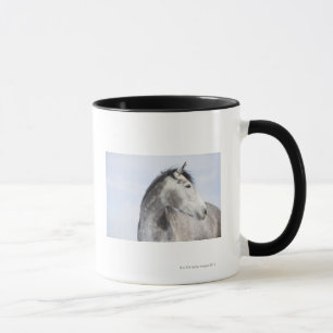 Taza retrato del caballo blanco 2