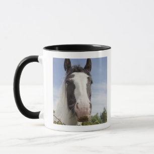 Taza Retrato del caballo de Clydesdale