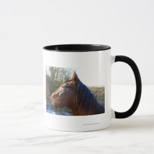 Taza Retrato del caballo marrón en día frío