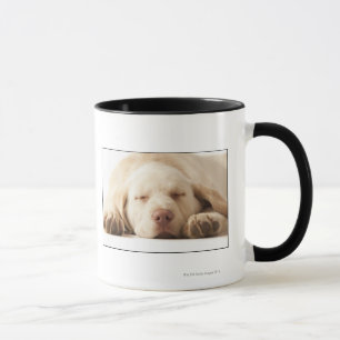 Taza Retrato del estudio del labrador retriever
