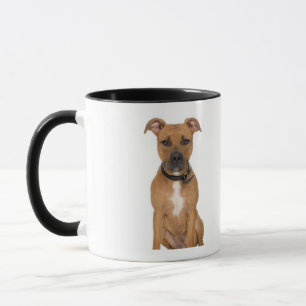 Taza Retrato del estudio del perrito americano 3 del