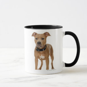 Taza Retrato del estudio del perrito americano del