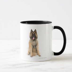 Taza Retrato del estudio del perro de pastor belga