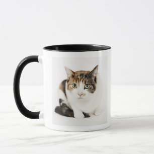 Taza Retrato del gato de calicó