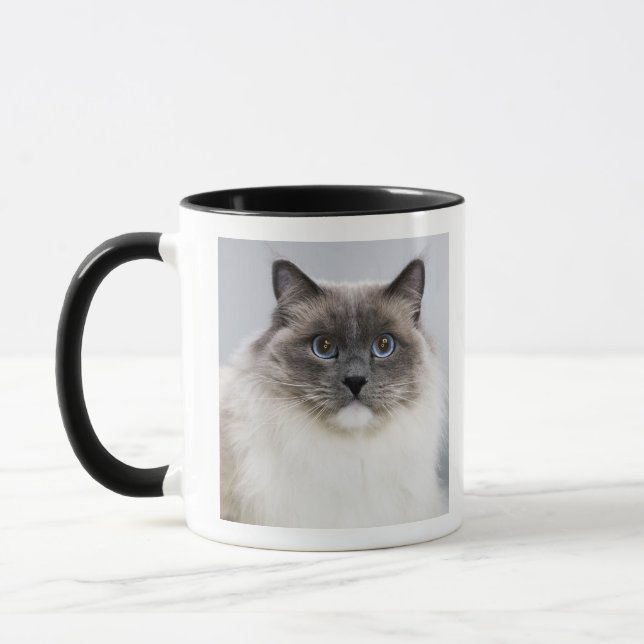 Taza Retrato del gato de Ragdoll (Izquierda)