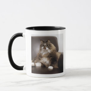 Taza Retrato del gato que se sienta en silla