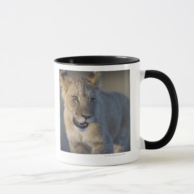 Taza Retrato del león Cub (Panthera Leo), Namibia (Derecha)