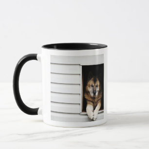 Taza retrato del perro