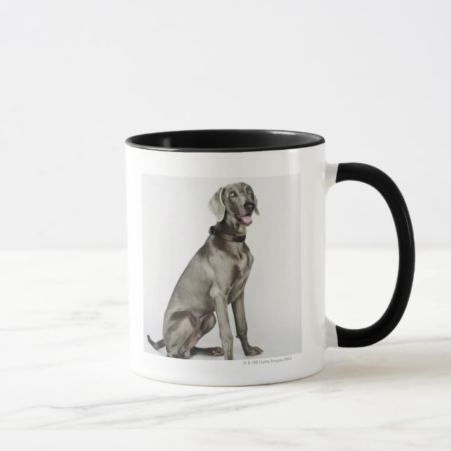 Taza Retrato del perro de Weimaraner (Derecha)