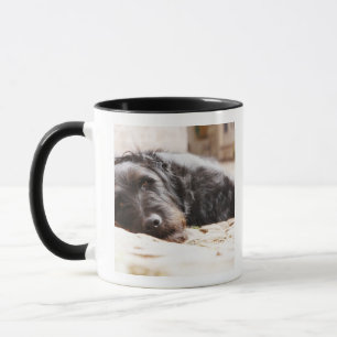Taza retrato del perro negro que miente en yarda