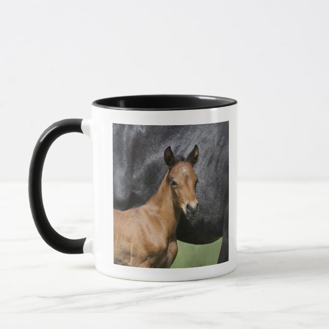 Taza retrato del potro marrón (Izquierda)