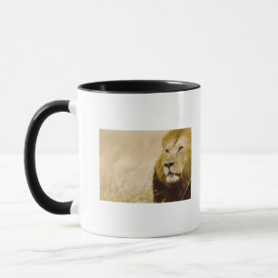 Taza Retrato masculino del león (Panthera leo), Masai