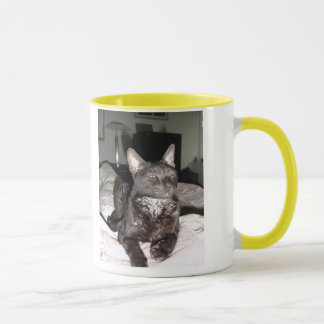 Taza Rex de Cornualles adorable