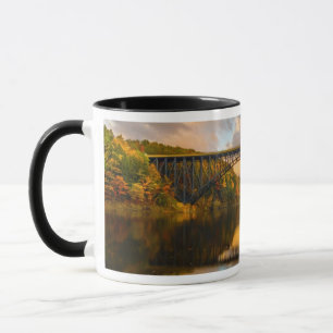Taza Rey francés Bridge en caída