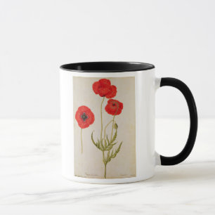 Taza Rhoeas de Papavar, c.1568
