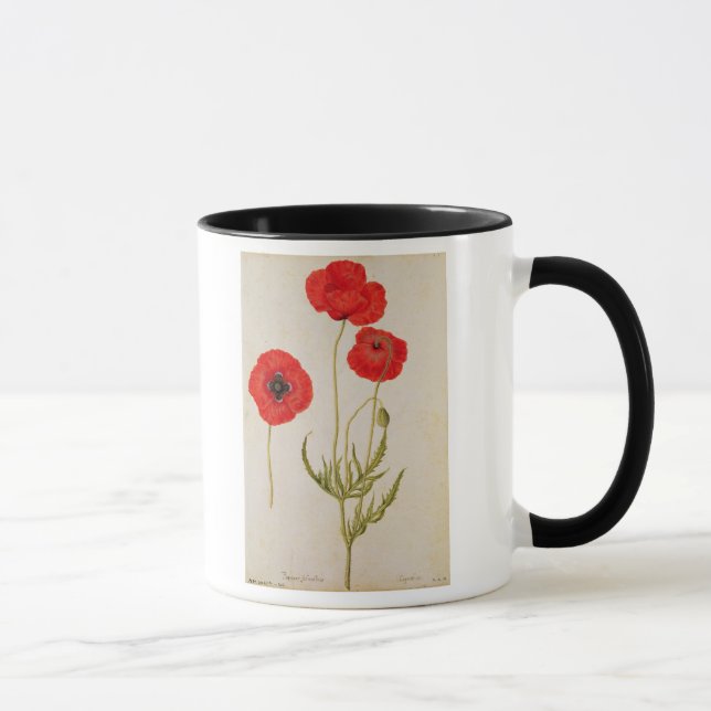 Taza Rhoeas de Papavar, c.1568 (Derecha)