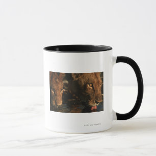 Taza Río de Khwai, reserva de la fauna de Moremi,