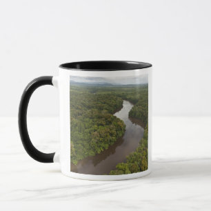 Taza Río Essequibo, río más largo de Guyana, y 5
