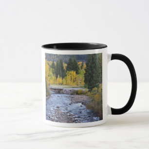 Taza río Provo y árboles de álamo temblón