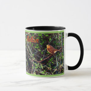 Taza Robin en un cobertizo