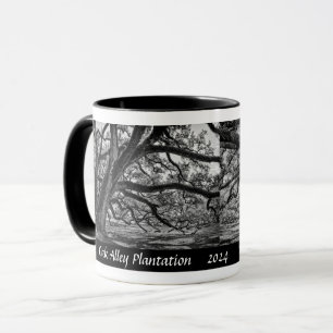 Taza Robles vivos de Oak Alley Plantation en B/N