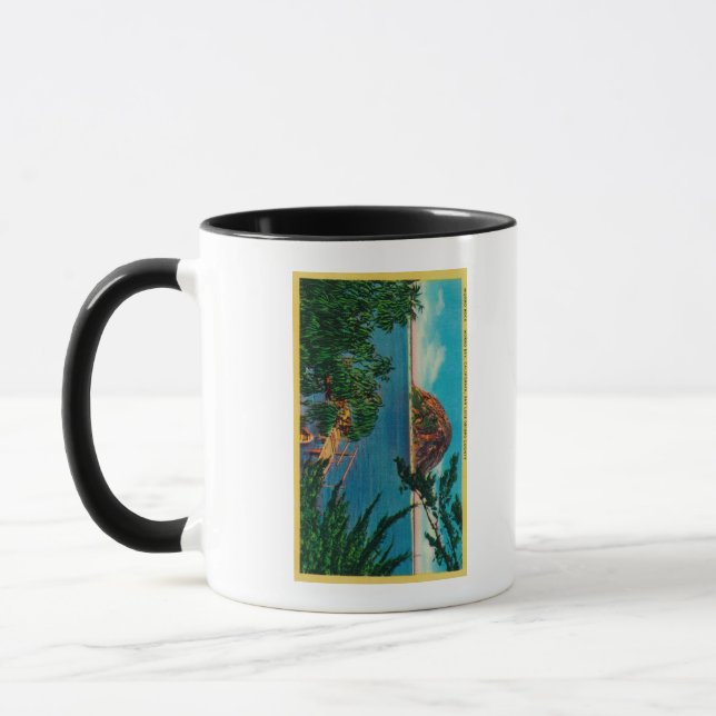 Taza Roca Morro en el condado de San Luis Obispo (Izquierda)