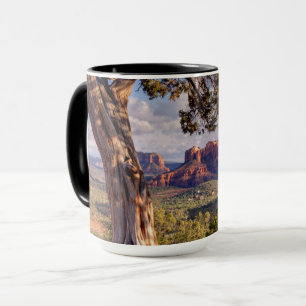 Taza Roca roja el   Sedona Arizona
