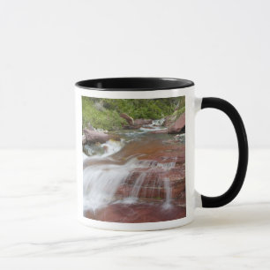 Taza Roca roja en Baring Creek en Glacier National