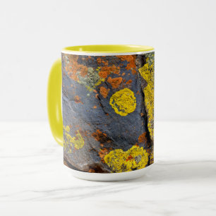 Taza Rocas Cubiertas de Liquen