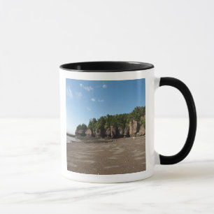 Taza Rocas Hopewell y Exploración de Mareas Oceánicas